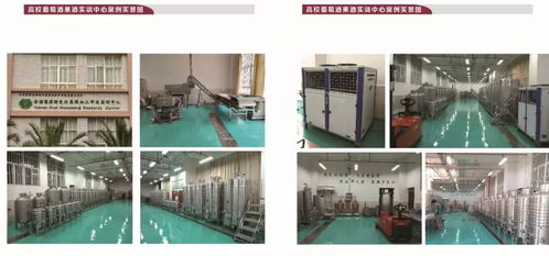 秦皇岛博酿酒类技术服务有限责任公司邀您共赴2018上海果酒展